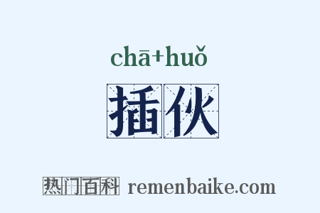 插伙是什么意思的图片